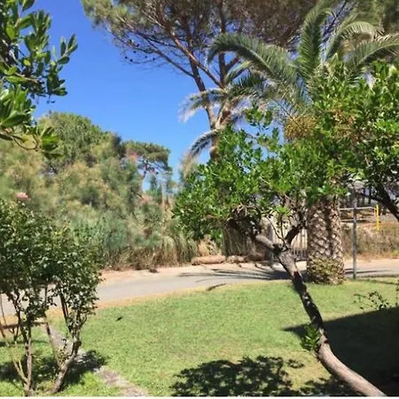 Apartment Pinea - Renove Les Pieds Dans L'eau Avec Separee Et Parking A