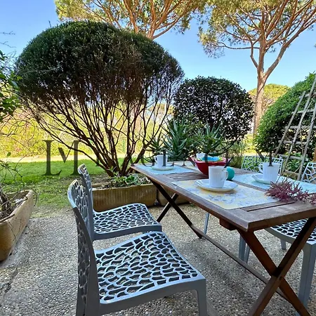 Pinea Les Pieds Dans L'eau